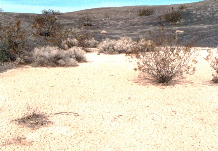 ../Images/055.Death Valley.jpg